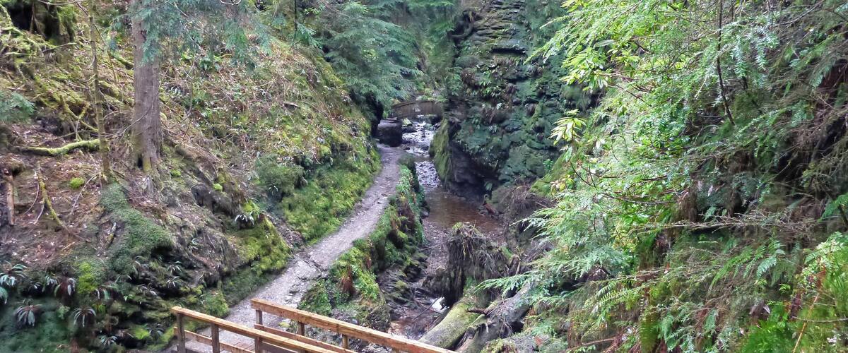 Puck's Glen, a scenic ravine near Benmore Botanic Garden on the Cowal peninsula in Argyll and Bute, Scotland, with a path beside the river providing a scenic walking route which is a popular feature of the Argyll Forest Park.