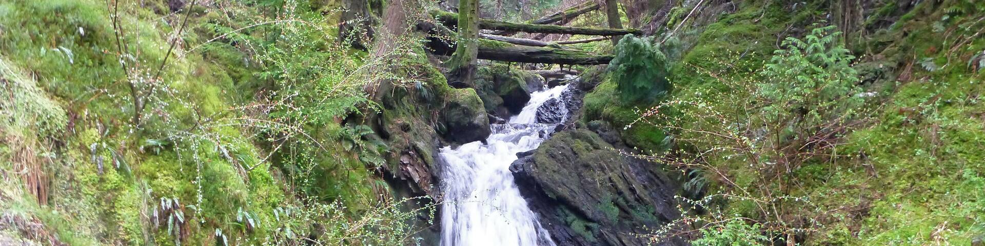 Puck's Glen, a scenic ravine near Benmore Botanic Garden on the Cowal peninsula in Argyll and Bute, Scotland, with a path beside the river providing a scenic walking route which is a popular feature of the Argyll Forest Park. A forestry track crosses the river by a bridge at the top of the main part of the path, the Upper Puck's Glen Loop continues the path up to where it meets the Black Gates Trail