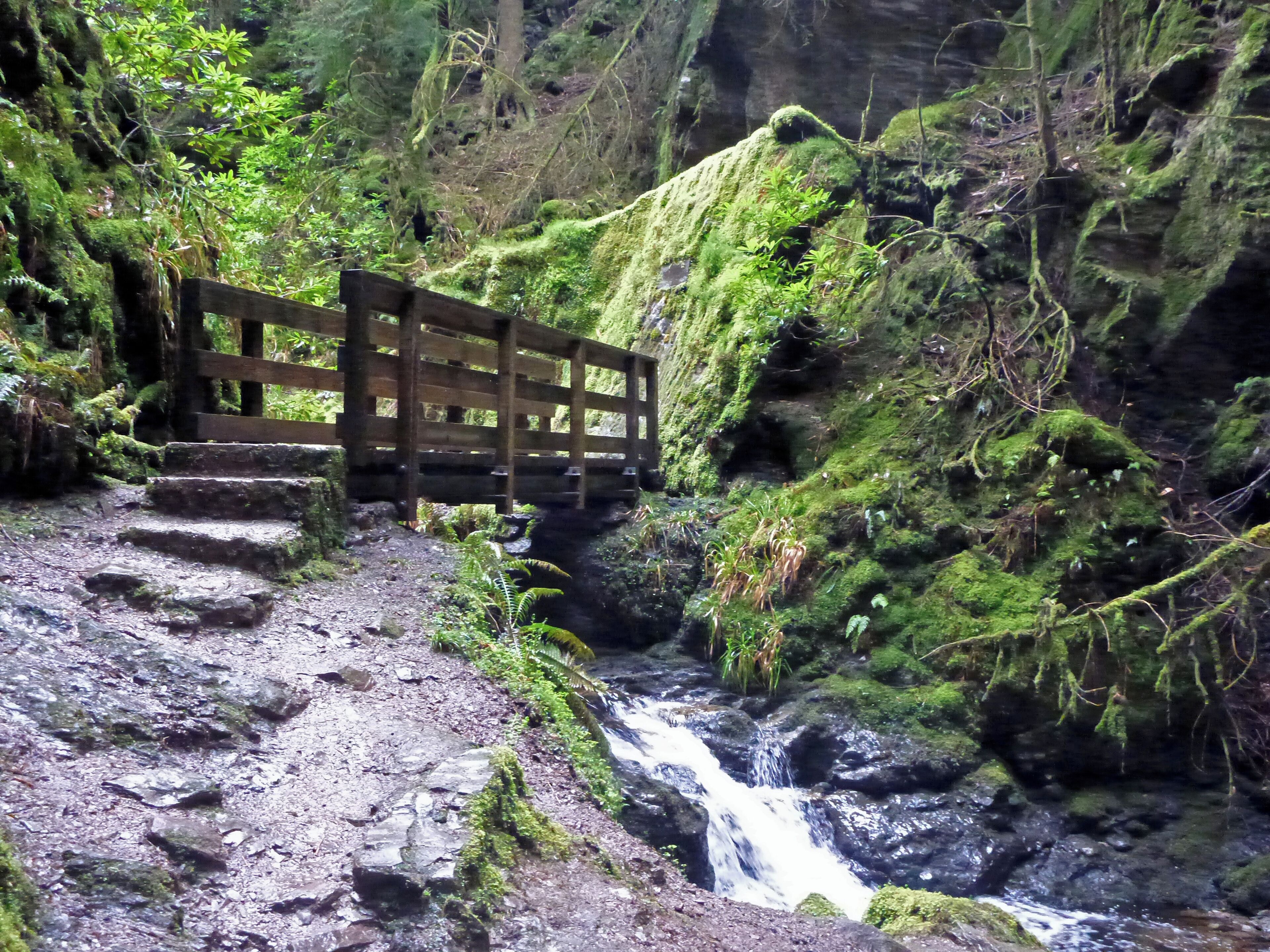 Puck's Glen, a scenic ravine near Benmore Botanic Garden on the Cowal peninsula in Argyll and Bute, Scotland, with a path beside the river providing a scenic walking route which is a popular feature of the Argyll Forest Park.