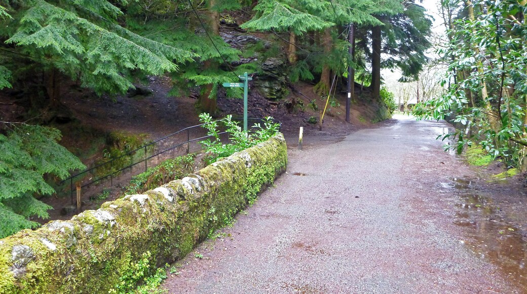 The old main road heading south from Benmore Botanic Garden on the Cowal peninsula in Argyll and Bute, Scotland, is now a pedestrian route with a sign pointing to the footpath leading up the scenic ravine called Puck's Glen, a popular feature of the Argyll Forest Park.