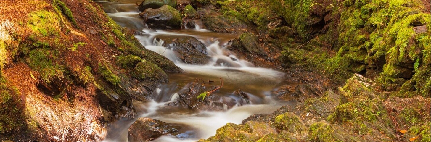 The start of the pucks glen walk, a stunning little walk with a waterfall around every bend,