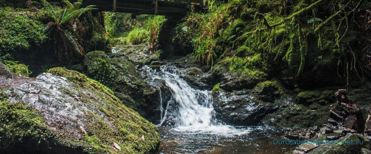 Deservedly the most popular short walk in the region, Puck's Glen is a dark and atmospheric defile. A tumbling burn, criss-crossed by bridges, is enclosed by rocky walls heavily hung with mosses and overshadowed by dense trees.
Walking:
Distance 3.5km/2.25 miles
Time 1 - 1.5 hours
Ascent 170m