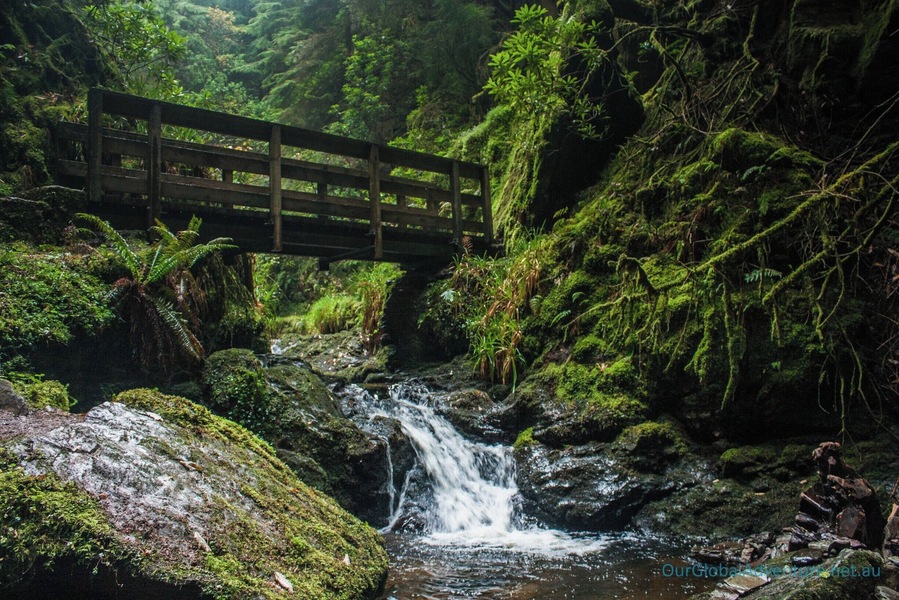 Deservedly the most popular short walk in the region, Puck's Glen is a dark and atmospheric defile. A tumbling burn, criss-crossed by bridges, is enclosed by rocky walls heavily hung with mosses and overshadowed by dense trees.
Walking:
Distance 3.5km/2.25 miles
Time 1 - 1.5 hours
Ascent 170m