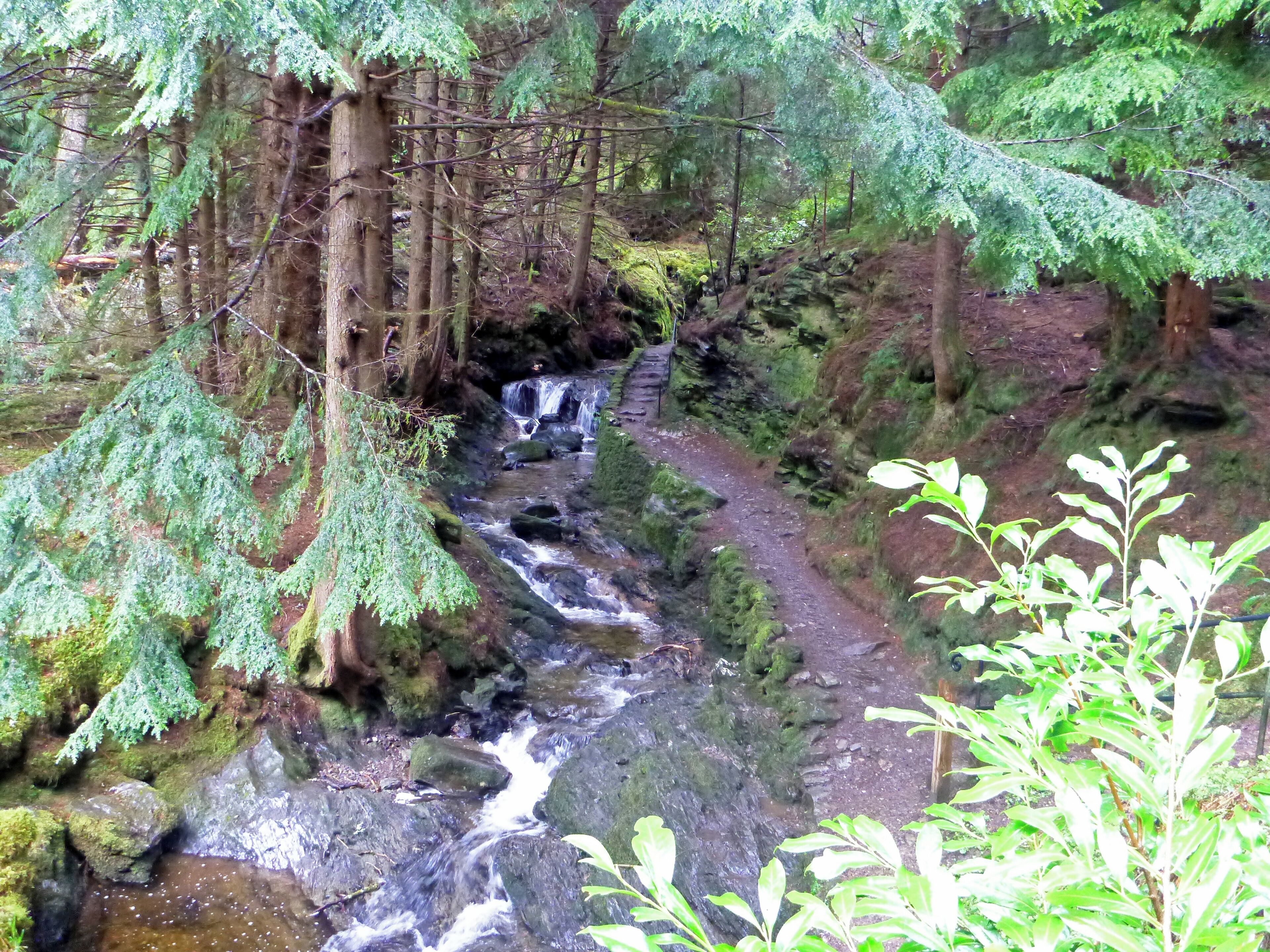 Puck's Glen, a scenic ravine near Benmore Botanic Garden on the Cowal peninsula in Argyll and Bute, Scotland, with a path beside the river providing a scenic walking route which is a popular feature of the Argyll Forest Park.