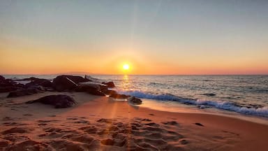 view on the waves crashing on the sandy beach at sunset in El Tarf. Algeria