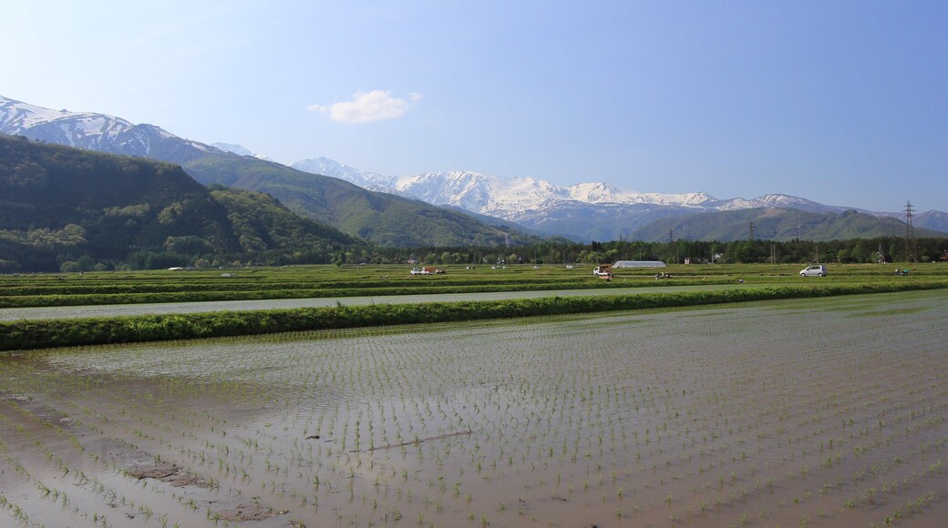 白馬飯森付近の風景