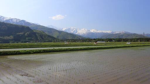 白馬飯森付近の風景