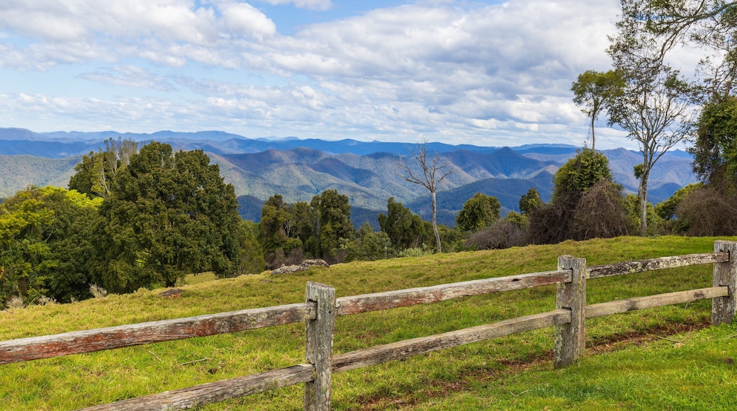 Griffiths Lookout showing tranquil scenes and landscape views