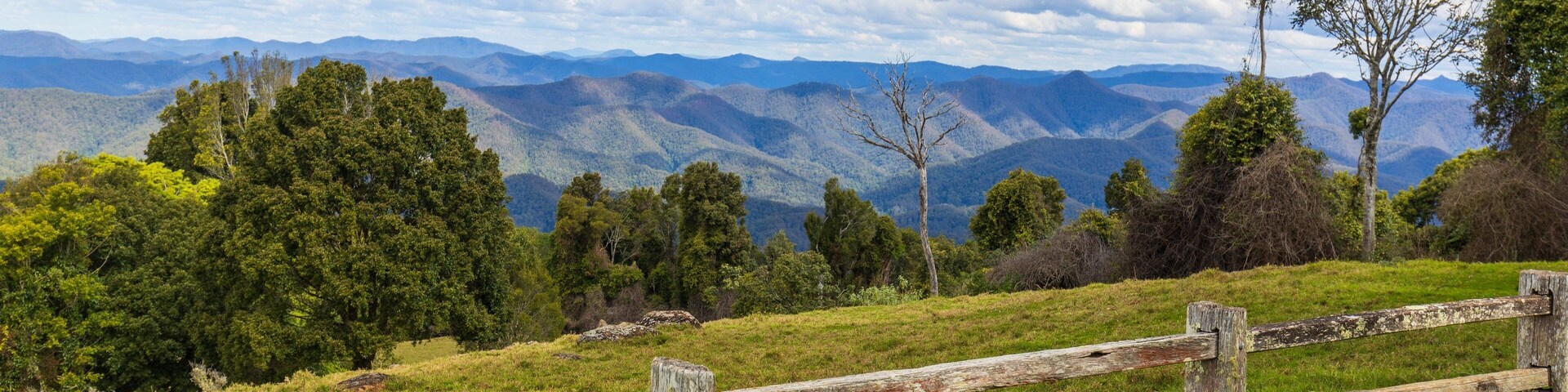 Griffiths Lookout showing tranquil scenes and landscape views