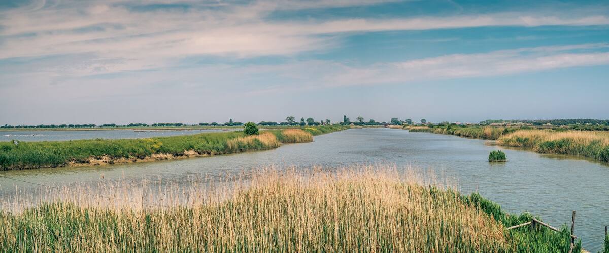 A river meandering through a marshy landscape with tall grasses and distant trees under a partly cloudy sky.