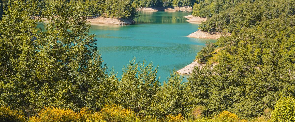 A turquoise lake surrounded by dense green forest.