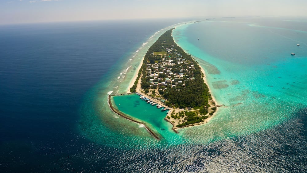 An aerial view of a coastal island with clear turquoise waters, a dense forested area, and a long stretch of beach.