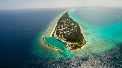 Dhigurah