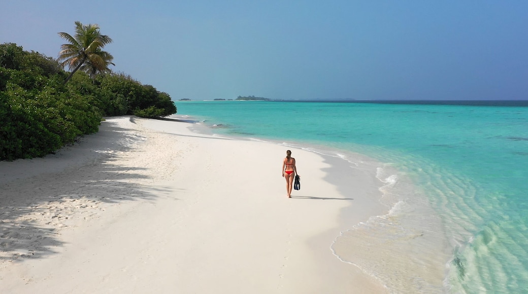 Young woman in a red bikini holding snorkeling gear while walking down a white sand beach. Dhigurah island, Maldives.