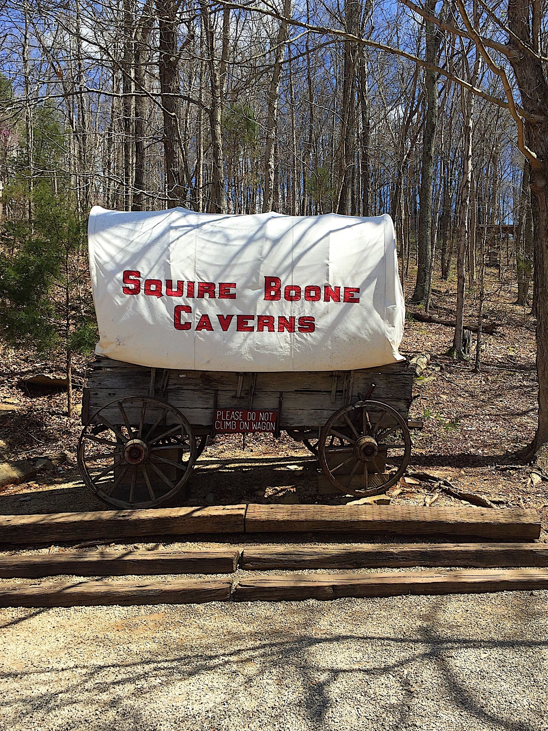 A covered wagon with 'SQUIRRE BOONE CAVERN' written on it, parked on a gravel path in a wooded area.