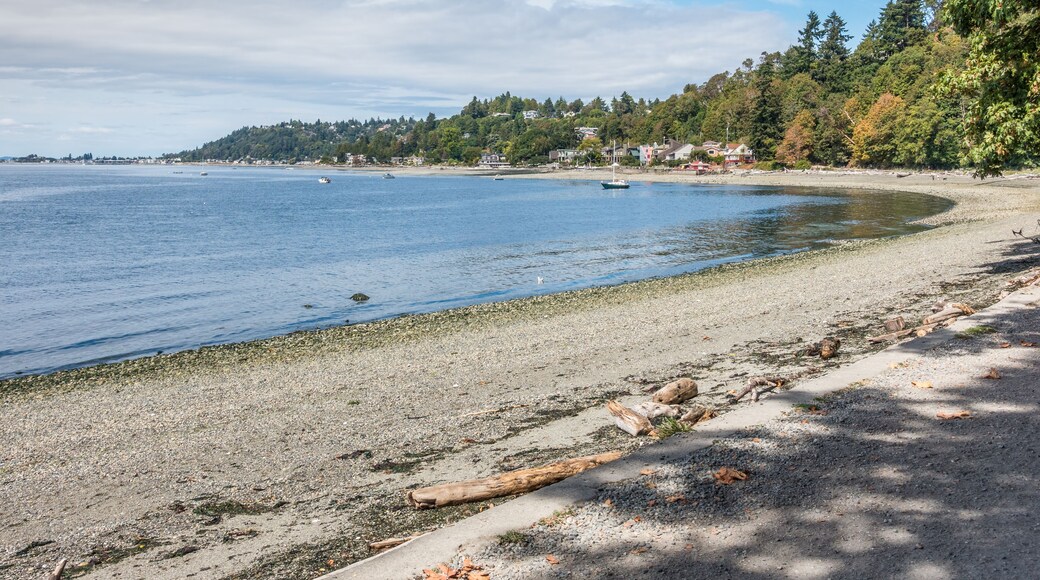 West Seattle Coastline 3