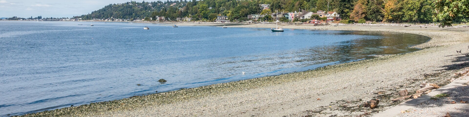 West Seattle Coastline 3