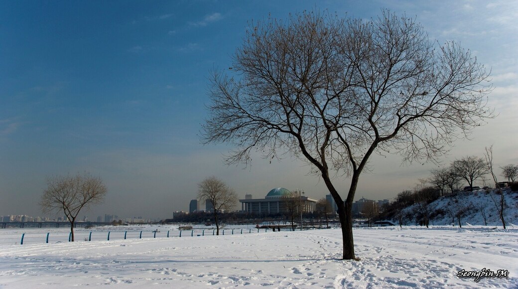 Tree and Snow (나무와 눈)