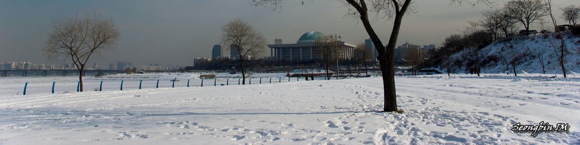 Tree and Snow (나무와 눈)