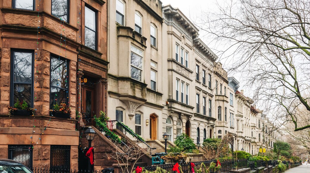 Brooklyn typical facades & row houses in an iconic neighborhood of Brooklyn. Park Slope, New York