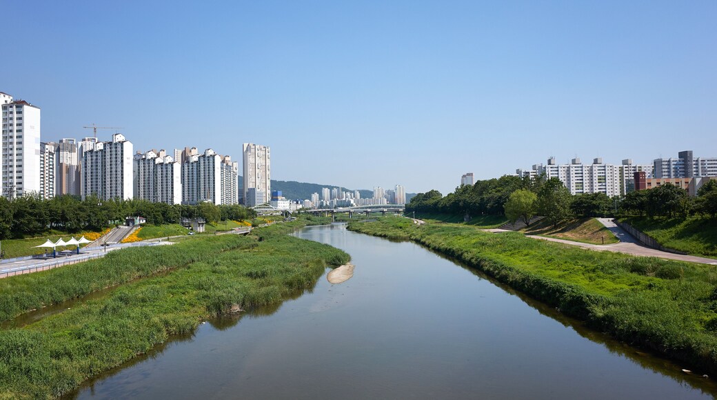 แจกุง-ดง