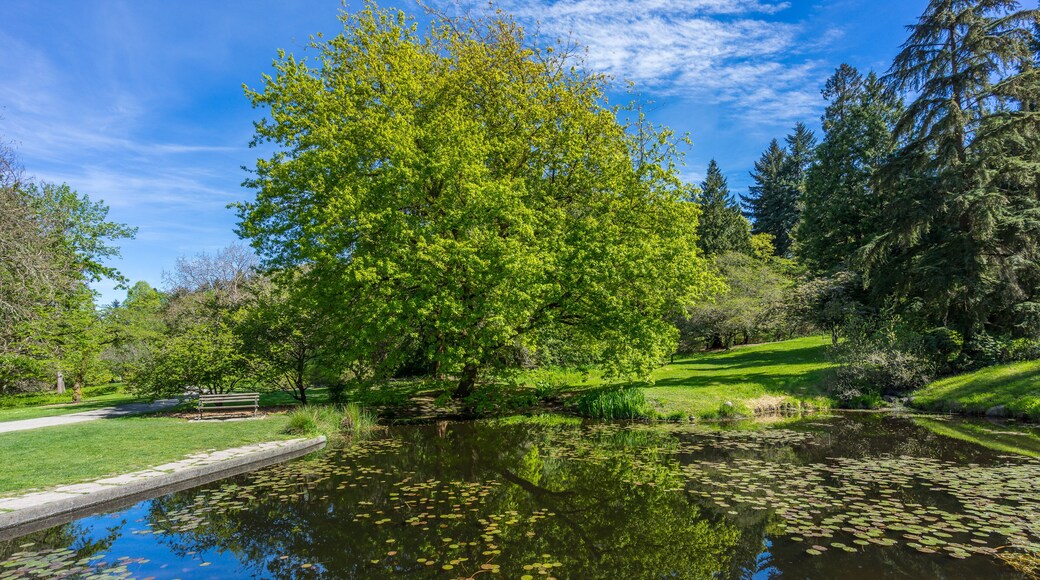 Washington park arboretum, Spring