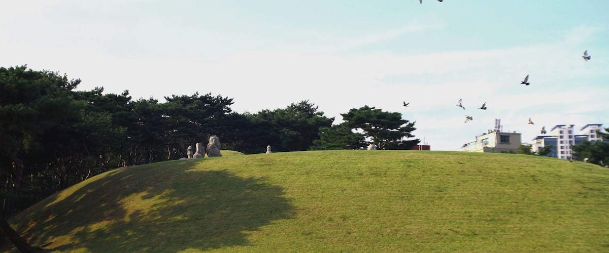This media shows the cultural heritage monument in South Korea with the number: