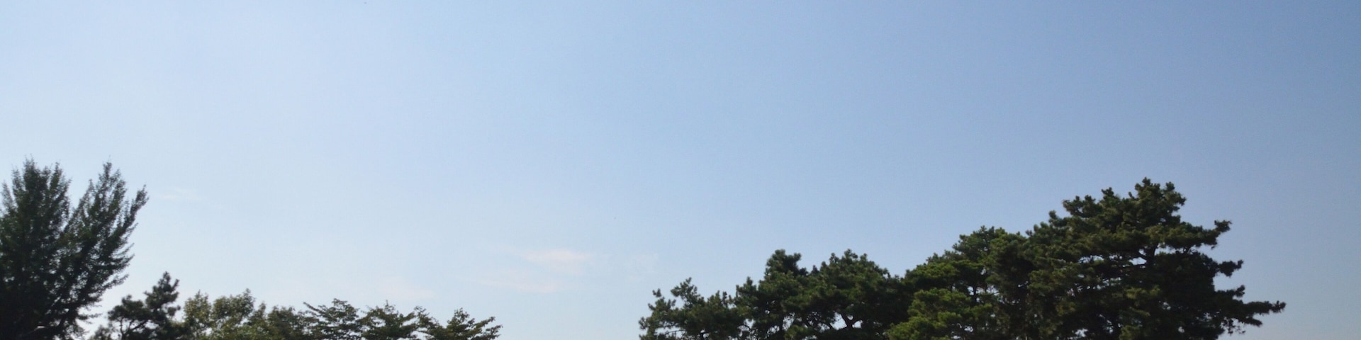 This media shows the cultural heritage monument in South Korea with the number: