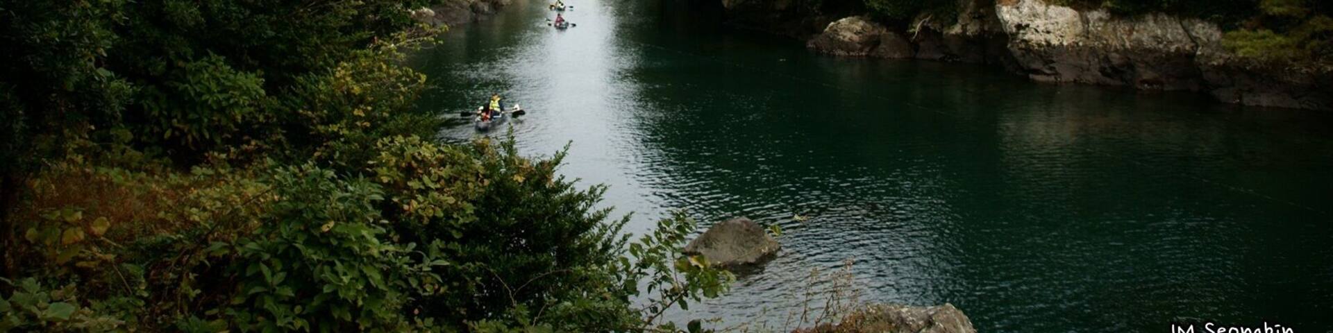 A river surrounded by dense green foliage and rocky cliffs.
