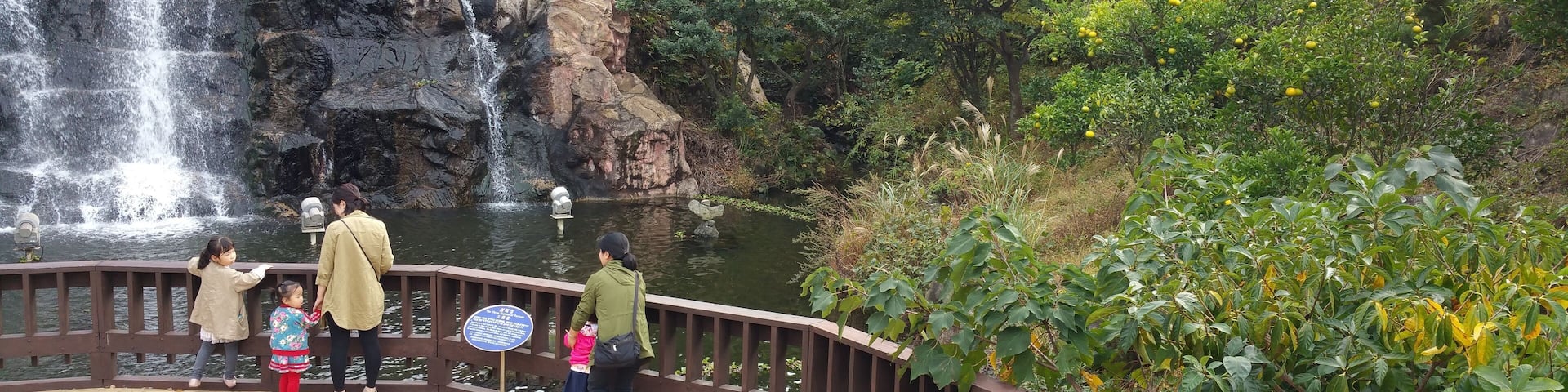 Seogwipo Citrus Museum, Jeju.