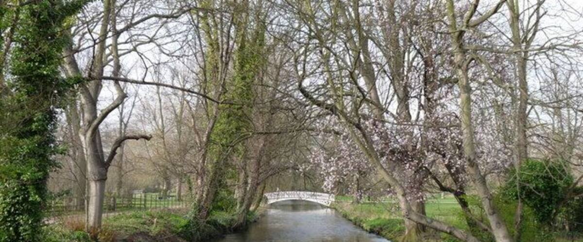 River Wandle at Morden Hall Photograph taken from the bridge beside the old Snuff Mill.