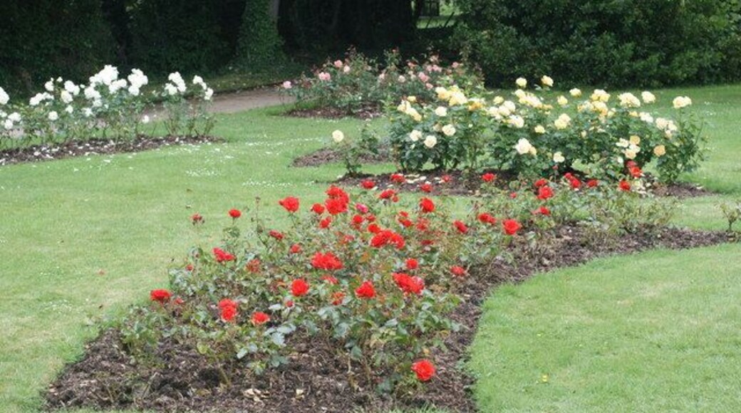 The Rose Garden, Morden Hall Park http://www.nationaltrust.org.uk/main/w-vh/w-visits/w-findaplace/w-mordenhallpark-2/