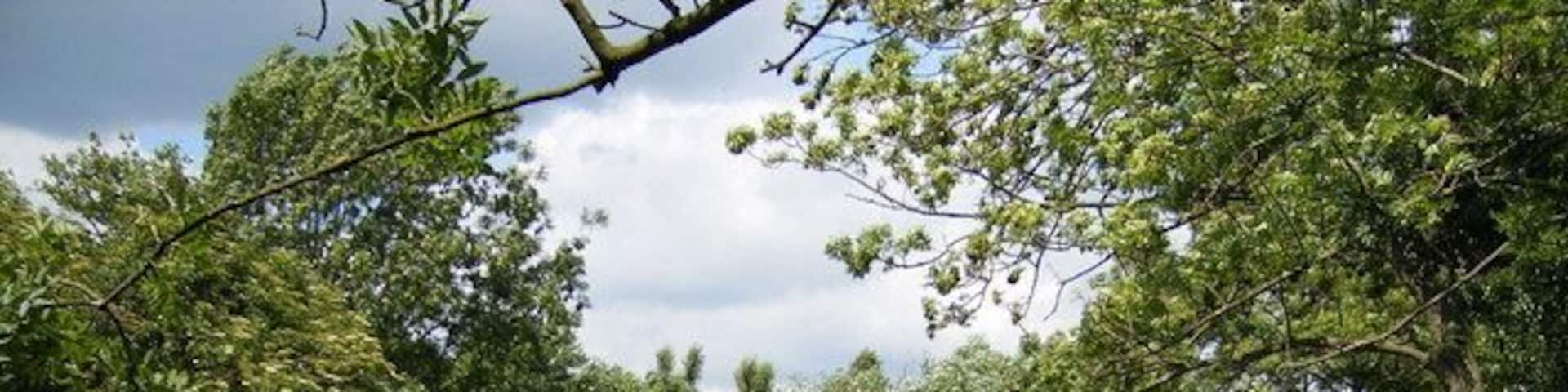 Fray's River. Running next to Cowley Road