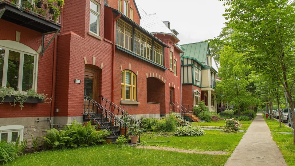 A row of red brick townhouses with green trim and a sidewalk lined with trees and grass.