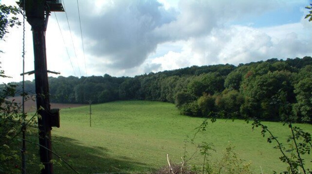 Southerly view from Beech Way, off Old Farleigh Road, CR2.