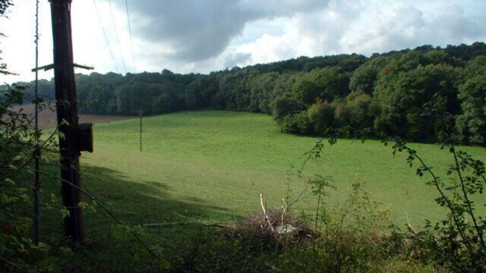 Southerly view from Beech Way, off Old Farleigh Road, CR2.