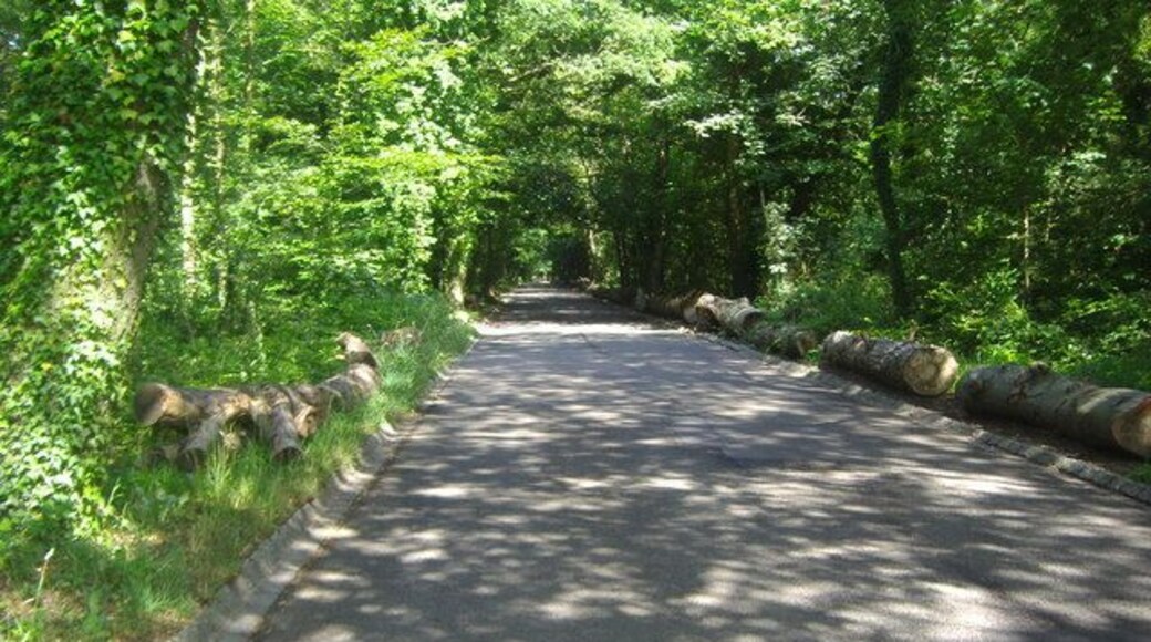 Warren Lane The road through Stanmore Common.