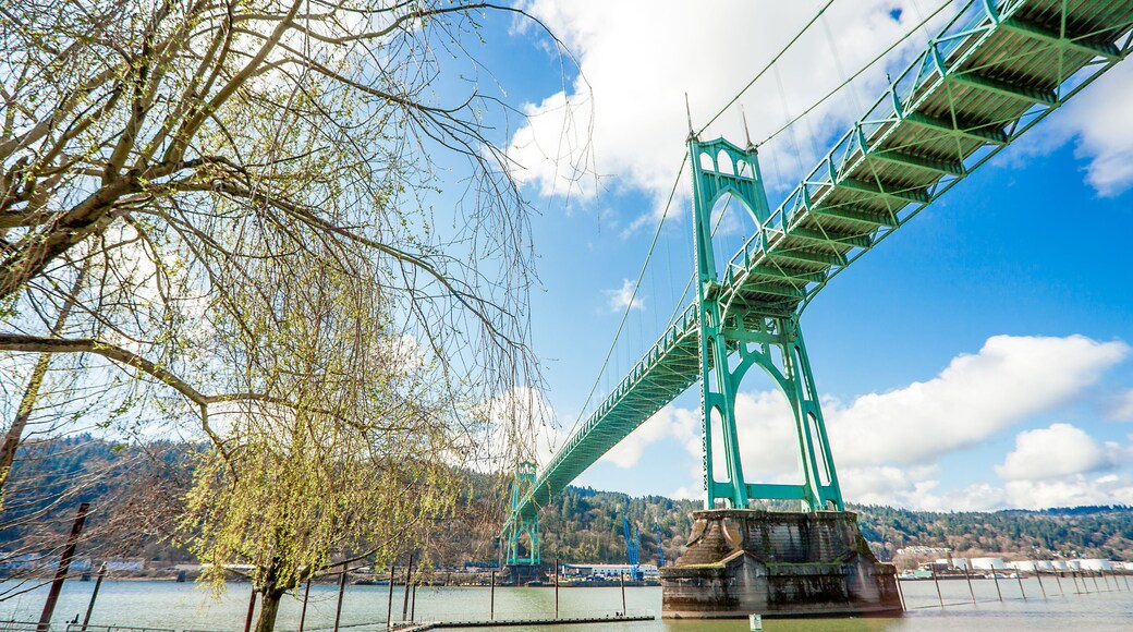 จอห์นส์ แลนดิ้ง