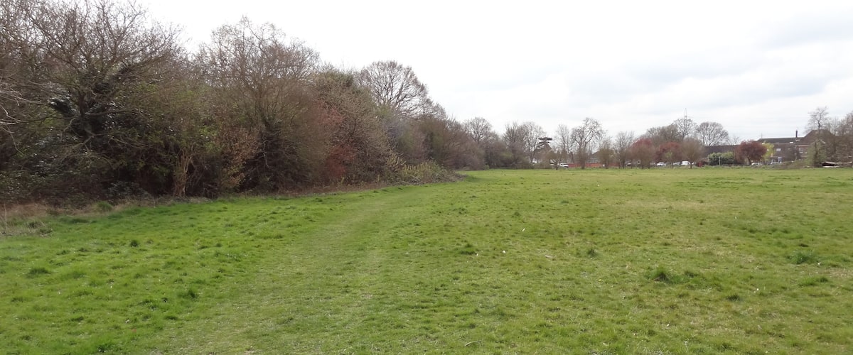 Cranmer Green nature reserve in Mitcham, London