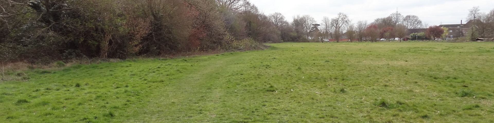 Cranmer Green nature reserve in Mitcham, London