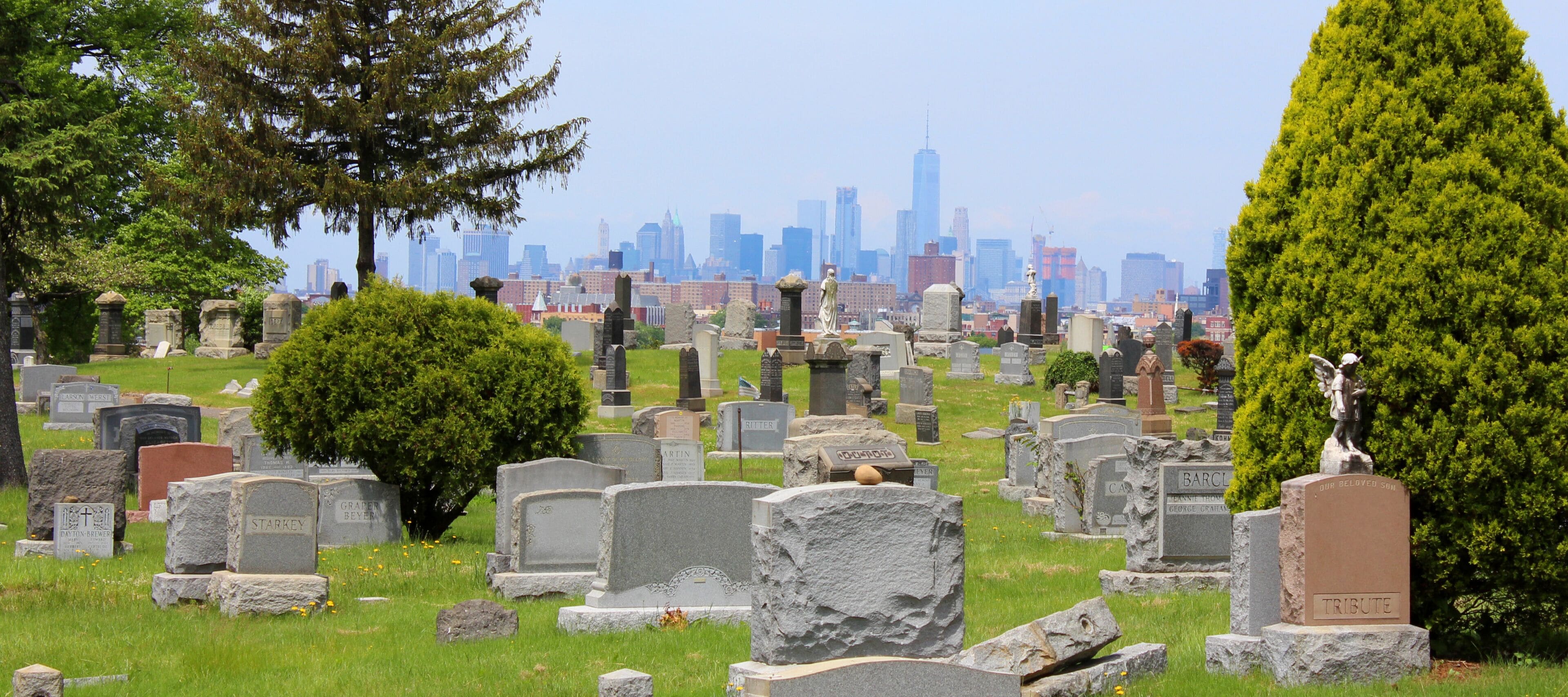 Ein Friedhof mit zahlreichen Grabsteinen und einer Stadtkulisse im Hintergrund.