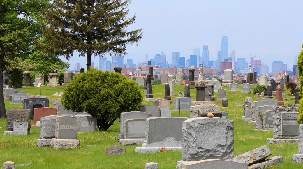 Ein Friedhof mit zahlreichen Grabsteinen und einer Stadtkulisse im Hintergrund.