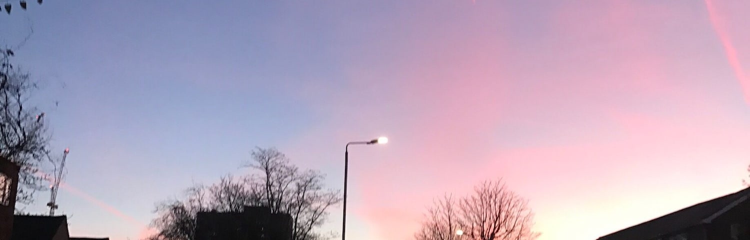 -4 degrees and looking amazing still