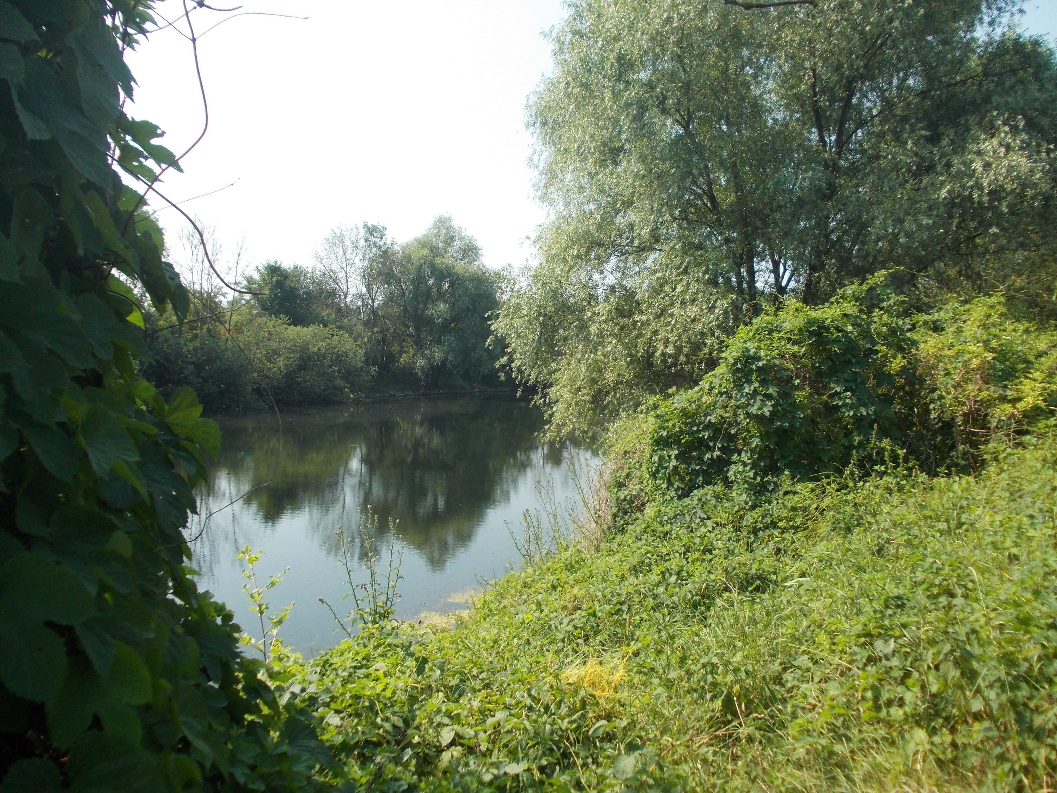 The Old Canal in Halle/Saale (Saxony-Anhalt)