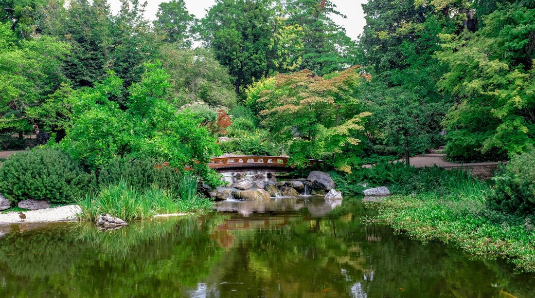 Setagayapark, Wien, 2018