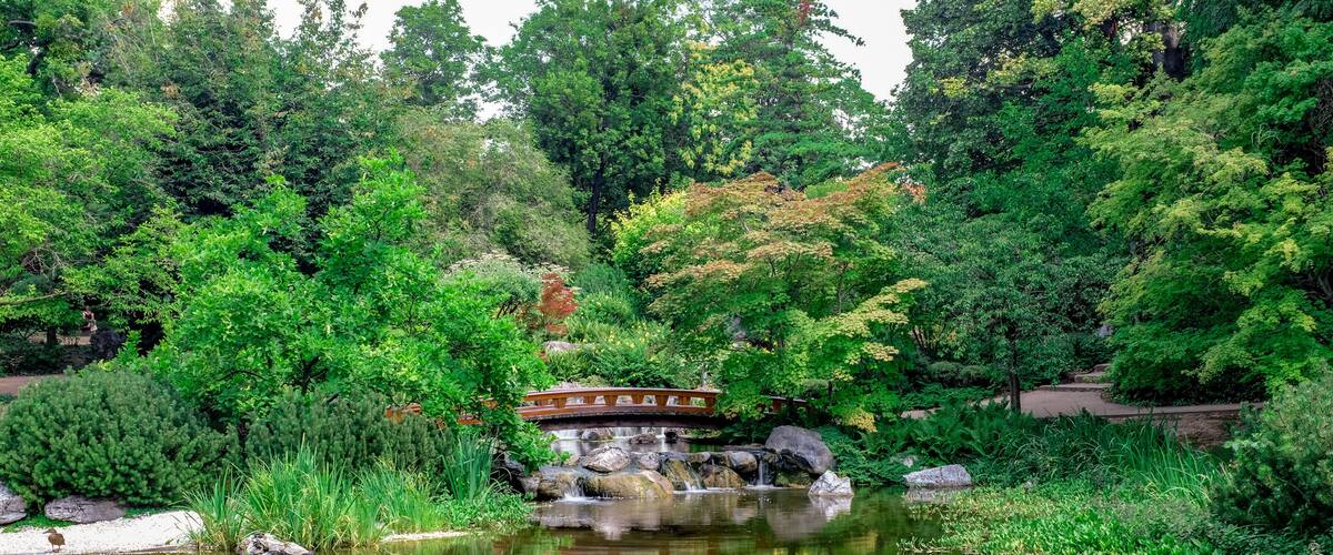 Setagayapark, Wien, 2018