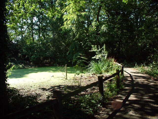 Footpath by ponds from South Hill Road BR2. This path, which passes three small ponds, joins South Hill Road with Kingswood Avenue.