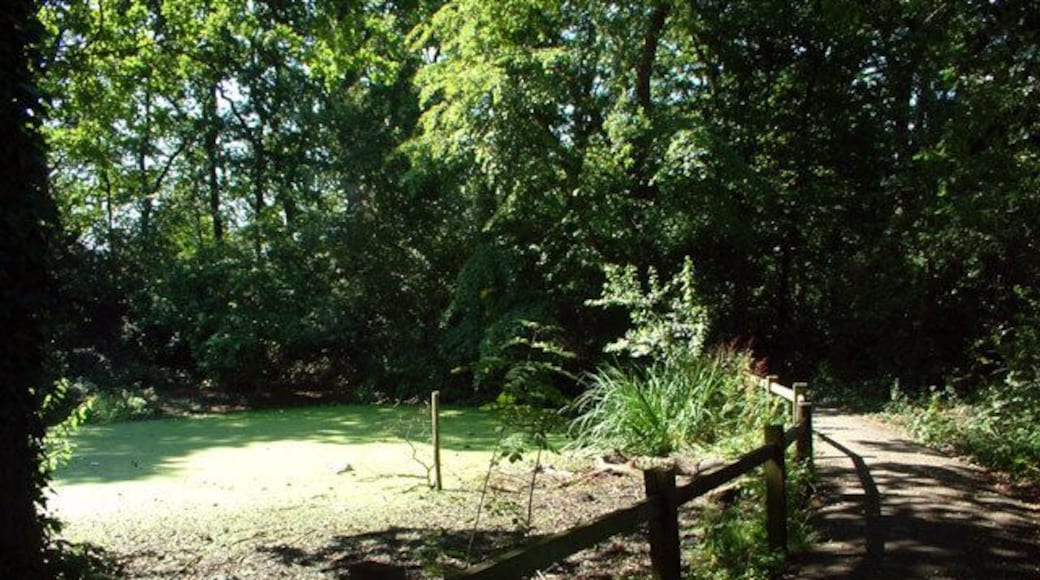 Footpath by ponds from South Hill Road BR2. This path, which passes three small ponds, joins South Hill Road with Kingswood Avenue.