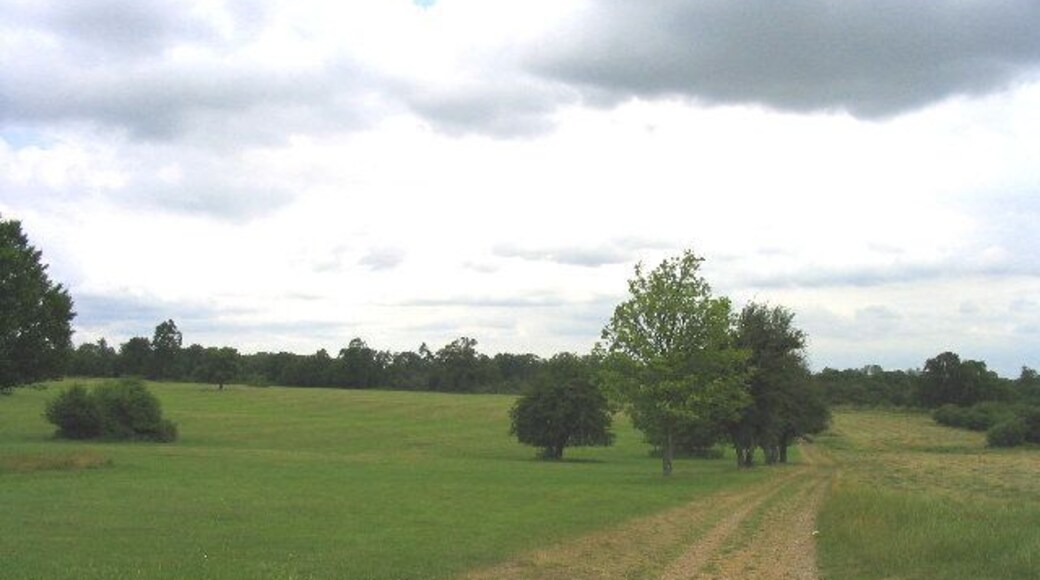 Dagnam Park, Harold Hill, London Borough of Havering. This urban park was once part of the 'Dagnams' country estate - the house was hit by a V2 rocket at end of 2nd World War and later demolished after the L.C.C. had bought the whole estate for £60,000. Now just the parkland is left.