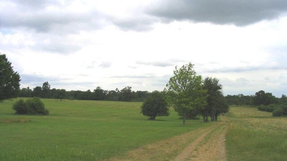 Dagnam Park, Harold Hill, London Borough of Havering. This urban park was once part of the 'Dagnams' country estate - the house was hit by a V2 rocket at end of 2nd World War and later demolished after the L.C.C. had bought the whole estate for £60,000. Now just the parkland is left.